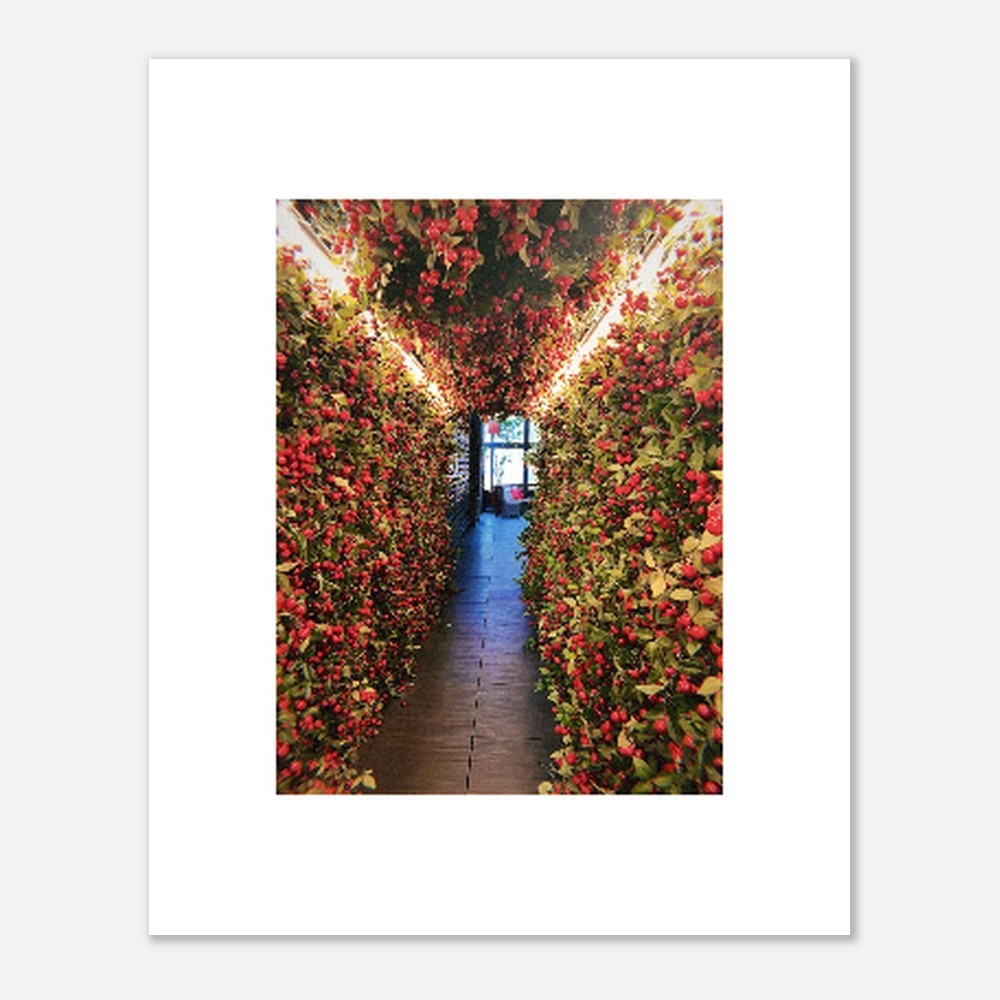 f597674f-c3d8-4648-91b0-70d90f9751e7